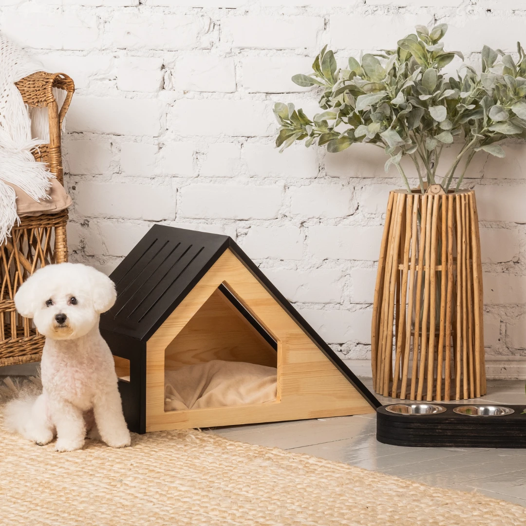 Köpek Bahçe Ürünleri