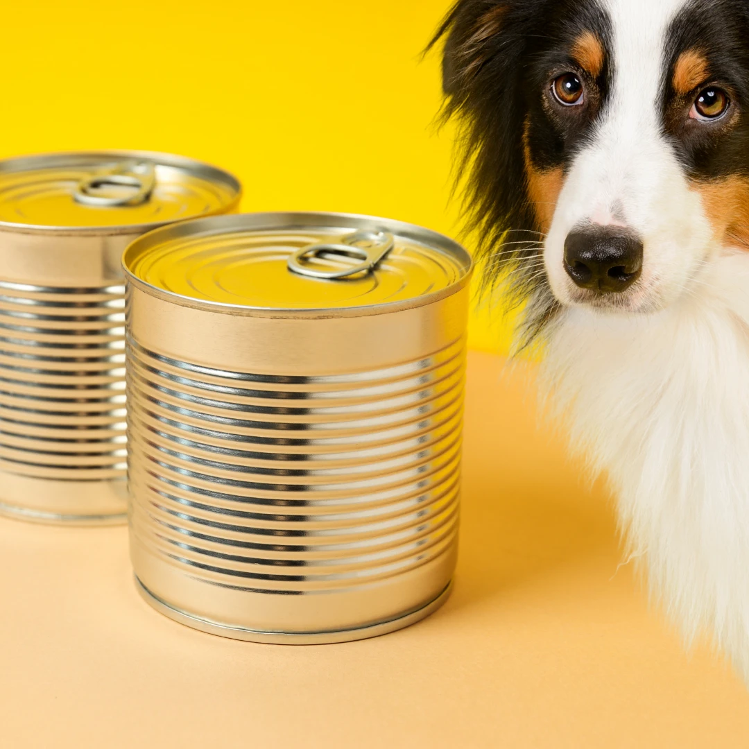 Köpek Konserve Maması