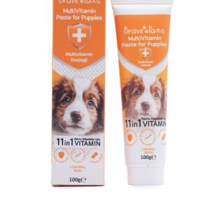 Yavru Köpekler İçin Gelişim Destekleyici Multivitamin Doğal Köpek Macunu 100g.